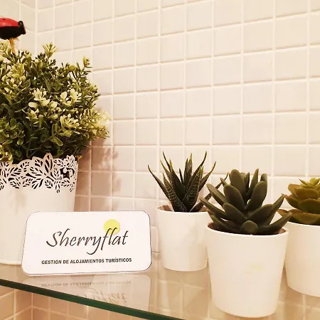 Apartament Sherryflat La Estacion - Parking *