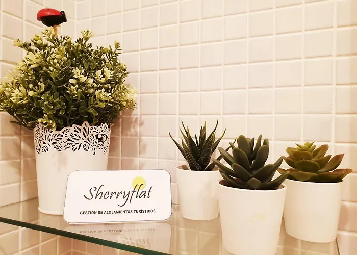 Lägenhet Sherryflat La Estacion - Parking *