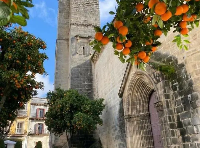 Sherryflat La Estacion - Parking Appartement Jerez de la Frontera